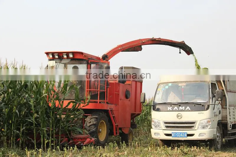4QZ-1800 Self-propelled Silage Corn Harvester Machine With 140 hp Turbo Engine