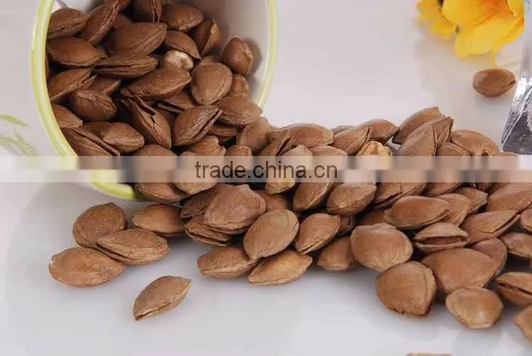 chestnut Pine Nut Opener equipment,Filbert nut opening machine,Walnut opening machine