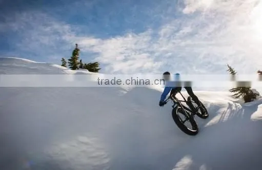 Mountain bike with electric motor