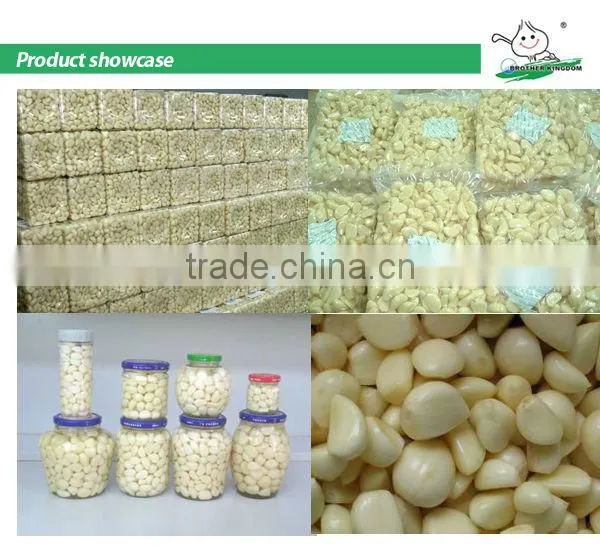 2014 high quliaty fresh peeled garlic clove