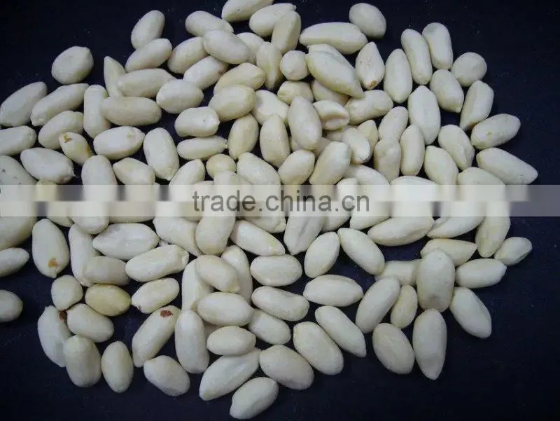 China blanched peanut kernels 25/29 with best price