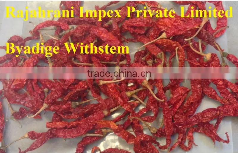 Sannam S4 Indian Dry Red Chilli From India