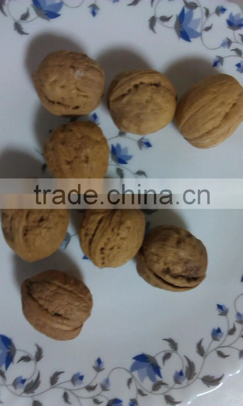 Walnut