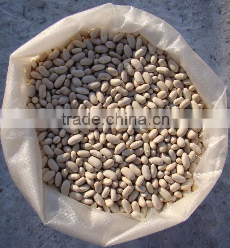2014 different varieties of white kidney beans from China with cheap price