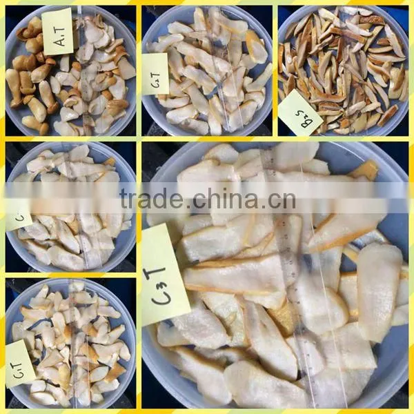 bolete,buy boletus edulis mushroom