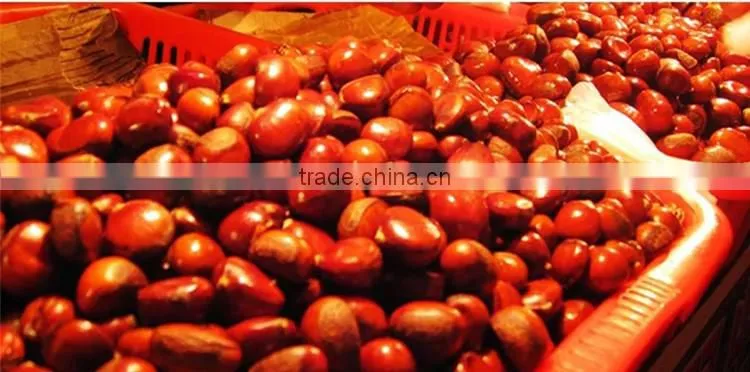 High Quality Peanut roaster machine & Peanut Roasting Machine & Peanut roaster