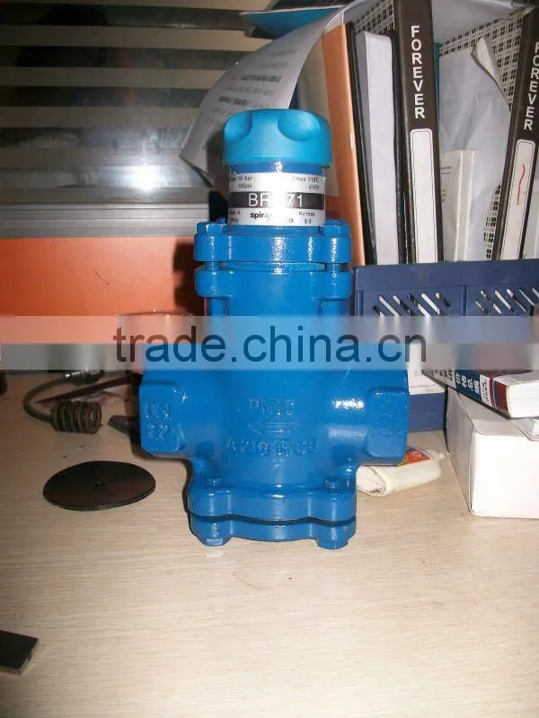BRV7 Direct Acting Bellows bronze safety relief valve