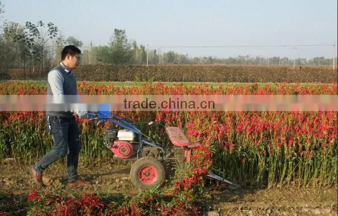 Discount Mini reaper harvester for pepper