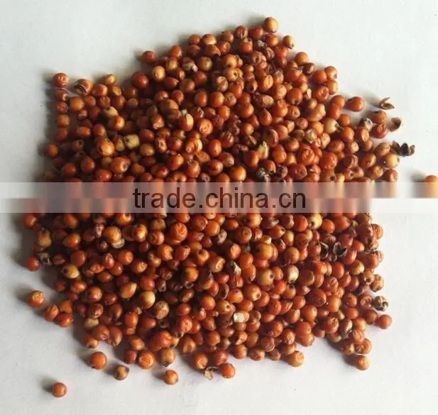 Gasoline engine sorghum rice threshing machine