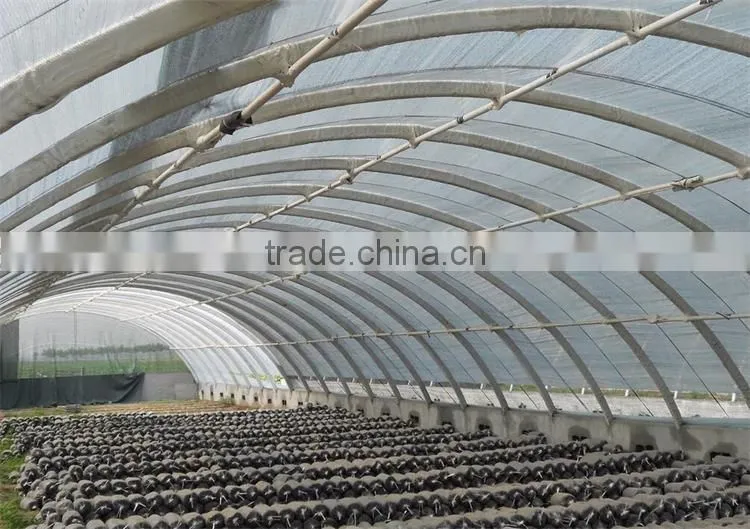 Tunnel Greenhouses With Supporting Systems