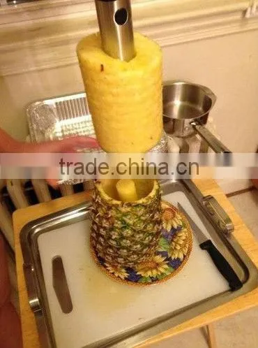 Easy Tool Stainless Steel Fruit Pineapple Corer Slicer Peeler Cut