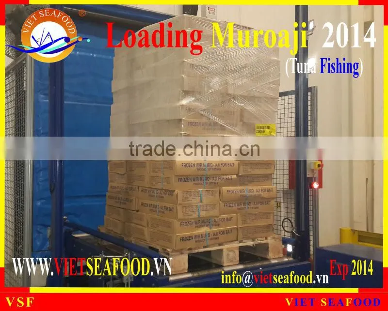LOADING MUROAJI FOR TUNA BAIT