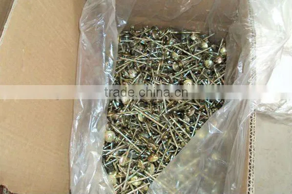 Nails roofing nails