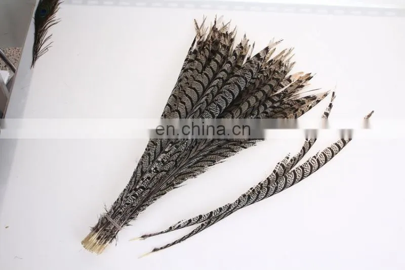 best quality 30-40cm pheasant feather