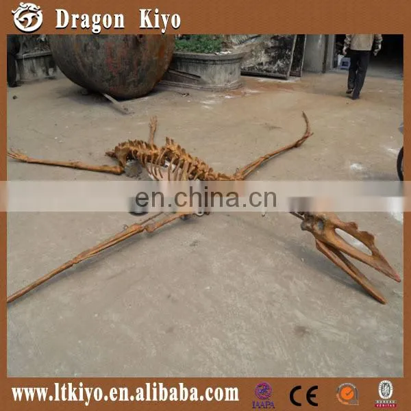 2016 jurassic park dinosaur fossil for museum dinosaur skeleton