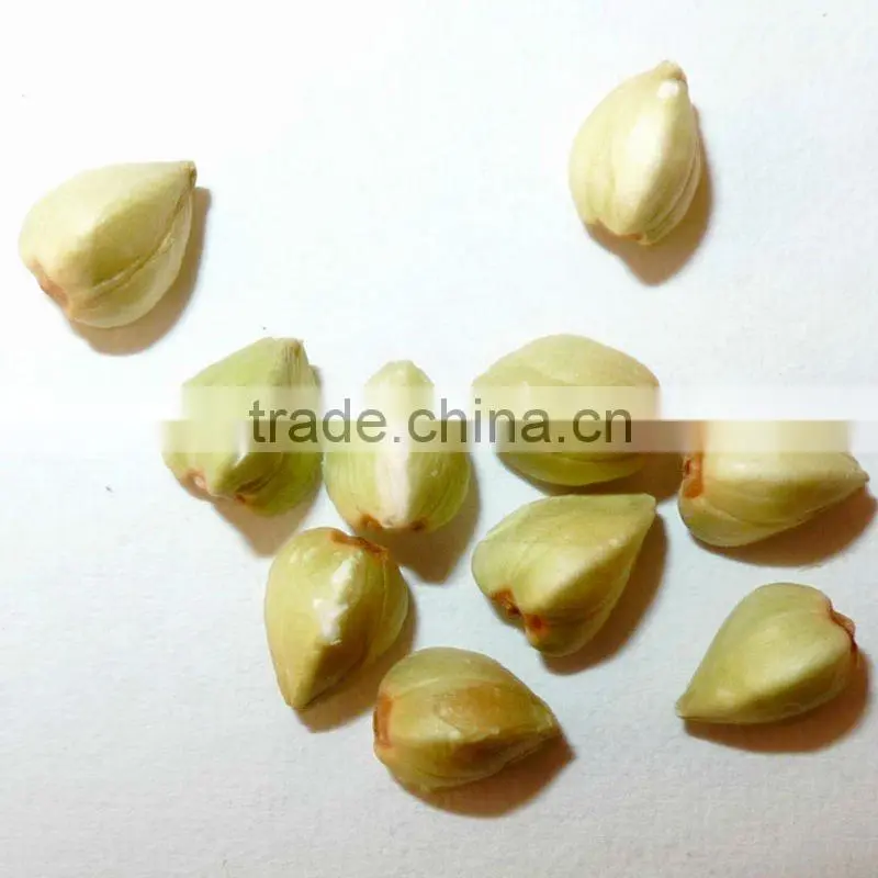 Organic buckwheat
