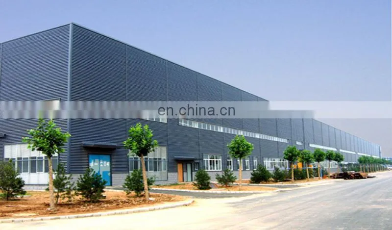Long Span Space Fast Assembling Steel Frame Metal Building Warehouse
