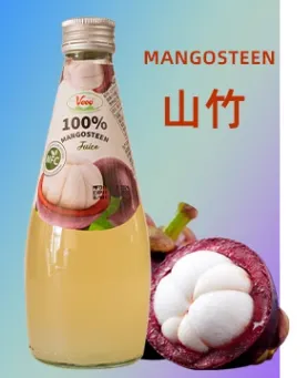 Mangosteen Juice Processing Machine Line