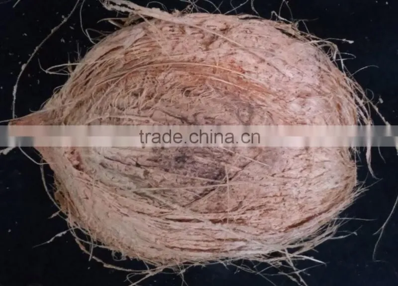 COCONUT PRICE