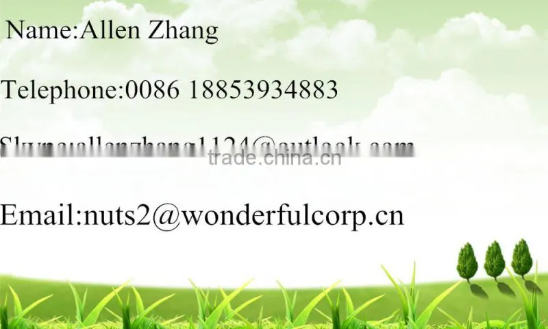 new products raw peanut raw materail peanut kernels price peanut kernels in china