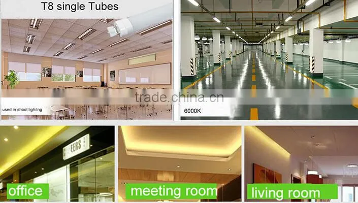 New products led t8 tube t8 lighting with factory price