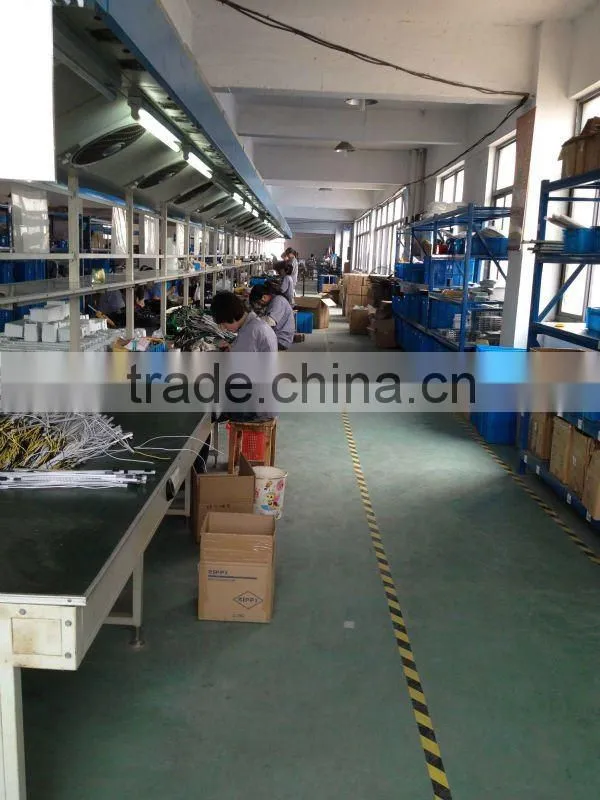 Chinese Linear Actuator Supplier 12v or 24v