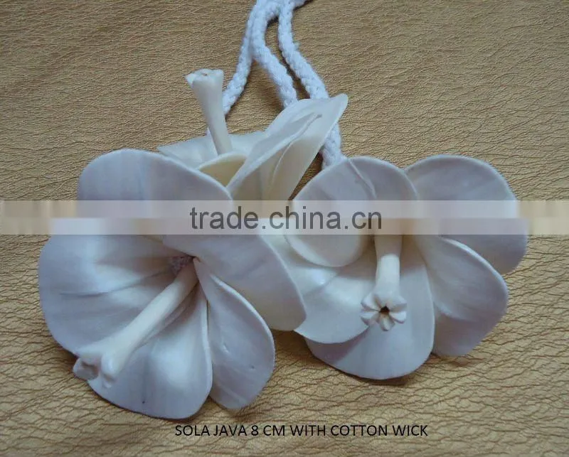 Handmade Sola flower diffuser