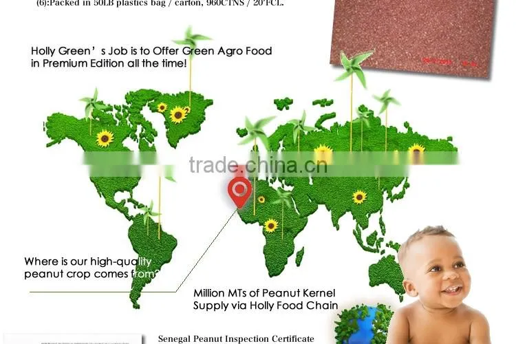 Grade A JAVA 60/70 Senegal African Peanut Kernel red skin peanut butter freight to Qingdao world-wide sales