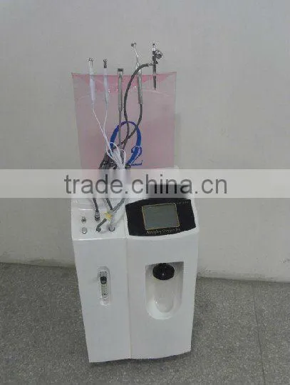 Top sell!!!oxygen facial equipment