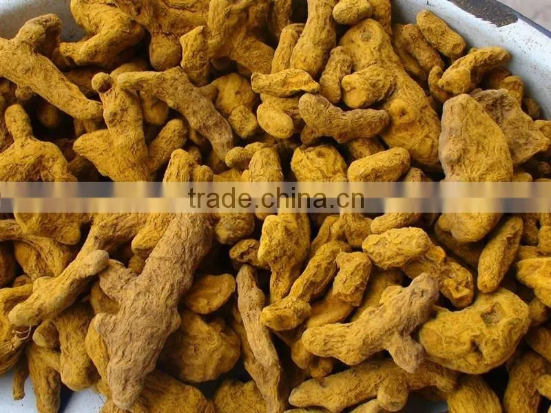 FRESH TURMETIC WITH BEST PRICE AND GOOD QUALITY