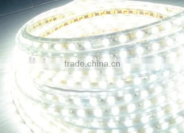 High quality 8.2W/M AC220V SMD5050 IP67 60LED/M 720LM/M Flexible Led Strip light