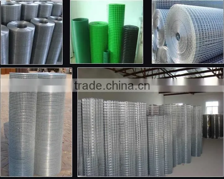 galvanized welded wire mesh roll
