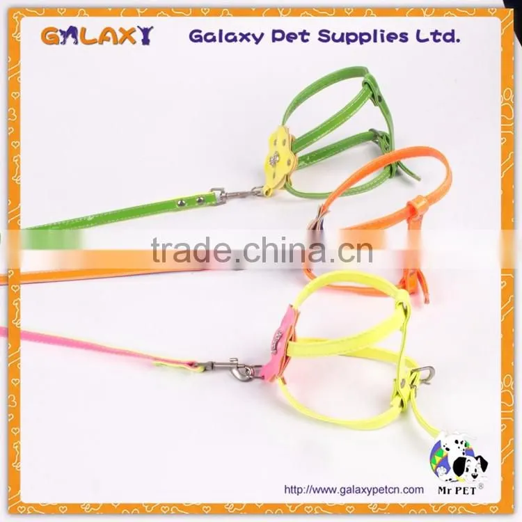 colorful pet collar and leash nylon pet products new design pet collar, sell well dog leash