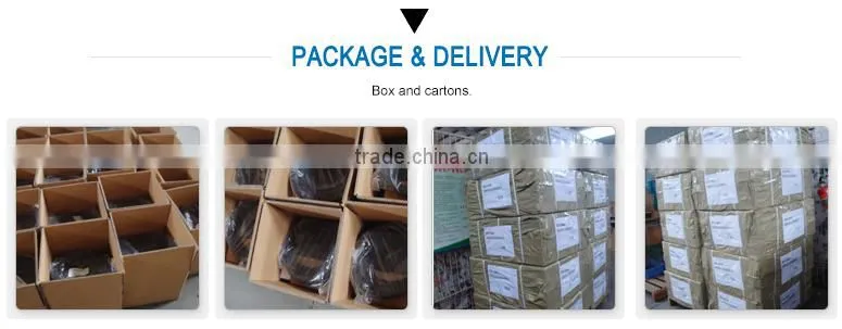 SCS03 Injector Rail CNG Regulator for Car