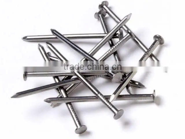 round nail/ wire nails/wood nails +86 15132140964 wechat/whatsapp
