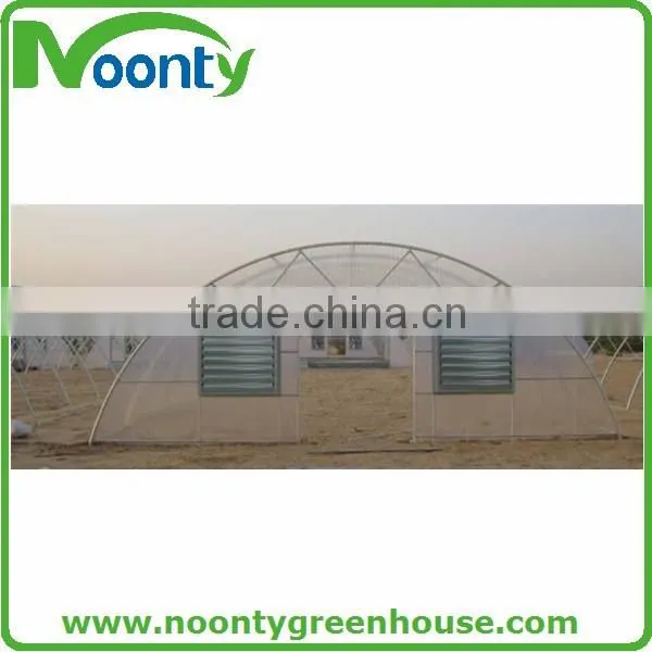 Economical Tunnel Greenhouse