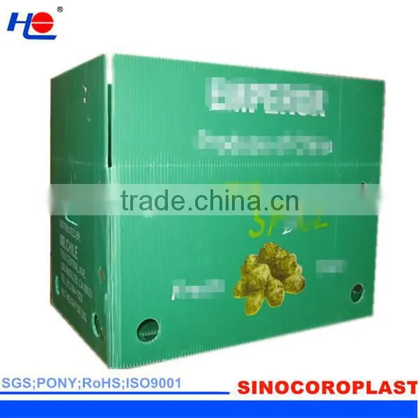 protection and puncture resistance plastic polypropylene odorless box