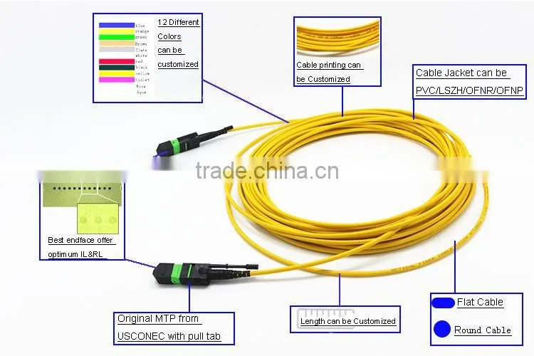 High quality SM MTP 12 cores patch cord from factory