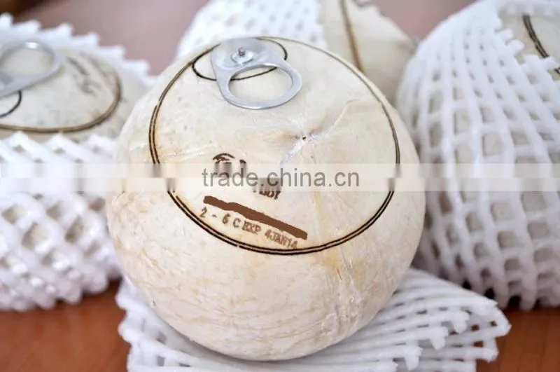 Coconut Water