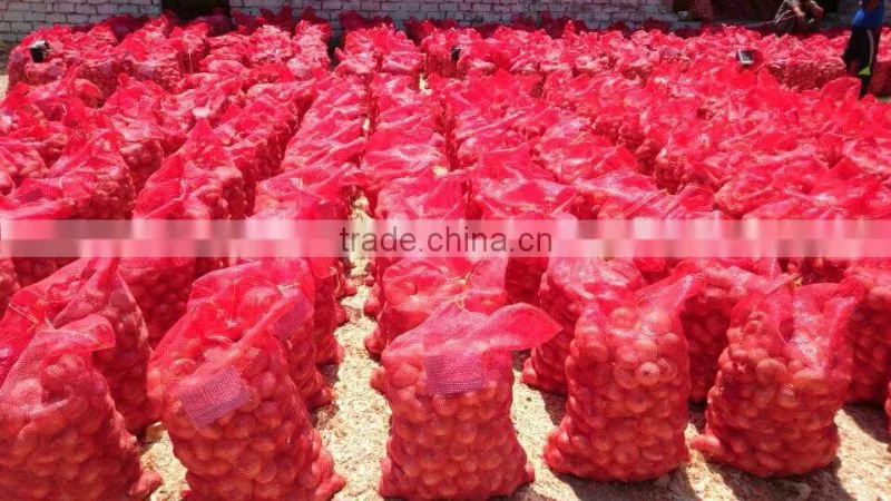 Fresh Onion From Egypt