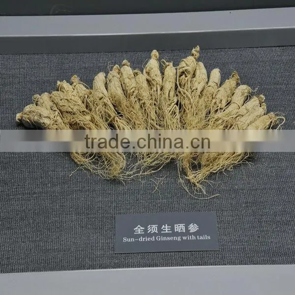 Panax ginseng powder