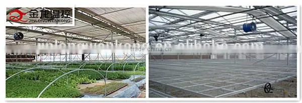 JINLONG Big air flow and low noise air circulation fan for Poultry farming