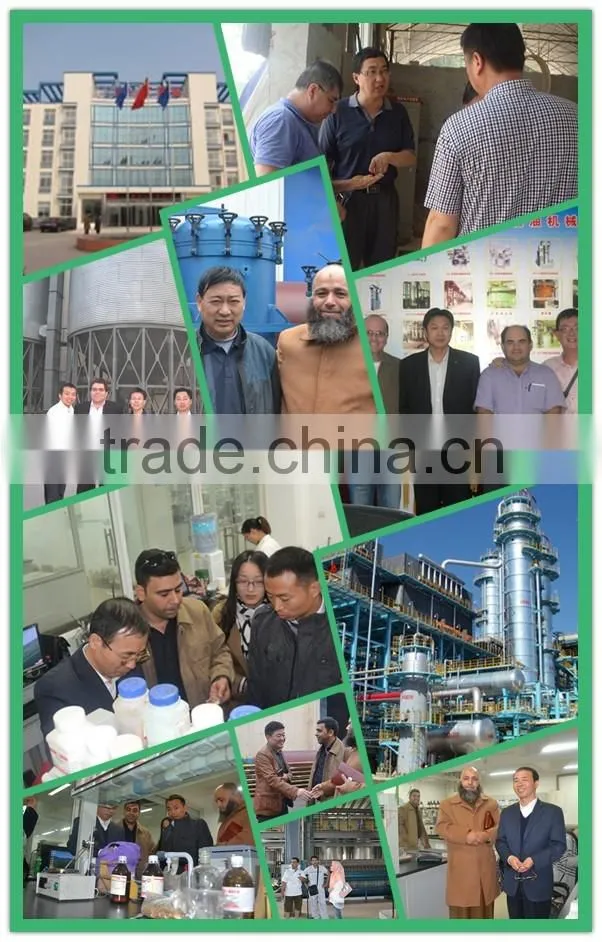 100TPD Dinter peanut nut seed oil expeller oil press mill
