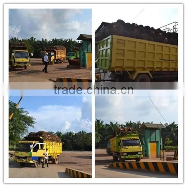 40-80TPH Palm Oil Mill/Palm Oil Mill Machinery In Malaysia And Indonesia