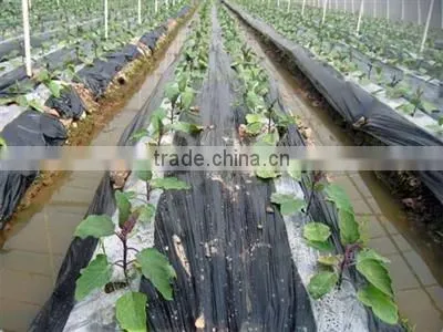 Everflying SJ-50/30 130kg/h mulching film machine of China