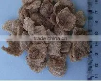 soy protein extrusion machine/soya nugget processing extruder