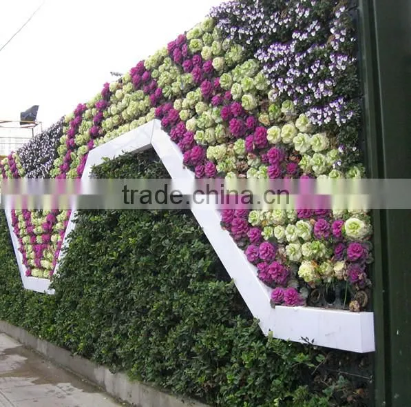 garden equipment hydroponic growing systems self watering cheap flower pots