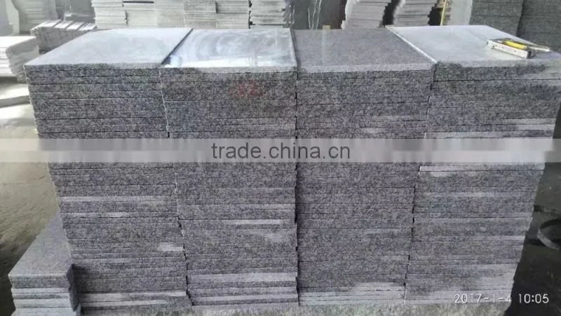 SMT G603 Promotional Tiles