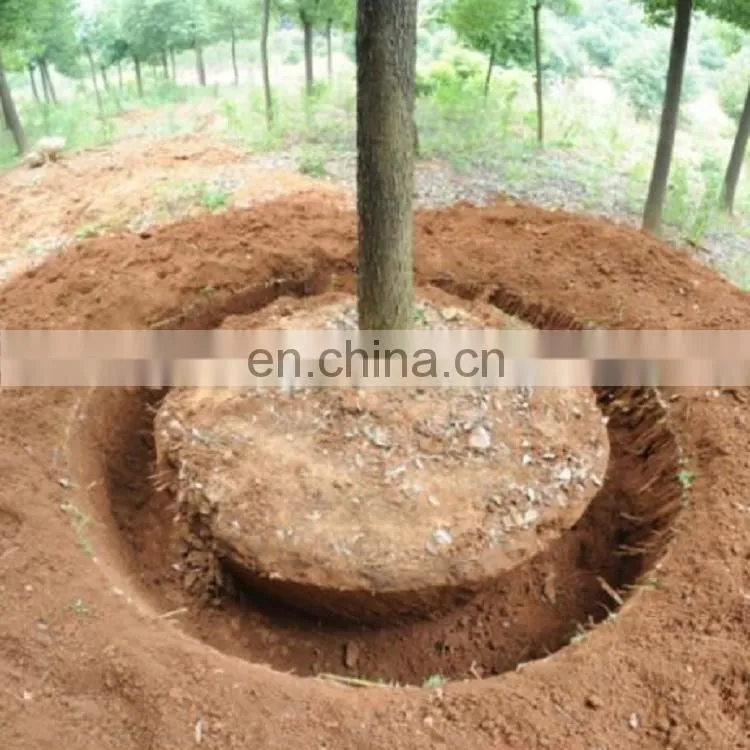 Tree transplanter and tree spade attachment