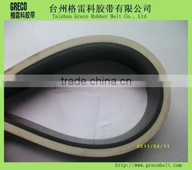 China manufacture flat belt